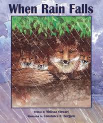 [9781561454389] WHEN RAIN FALLS