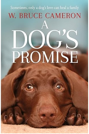 [9781529010084] A Dogs Promise