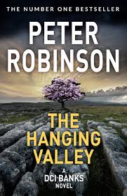 [9781509859047] The Hanging Valley