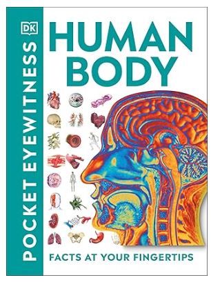 [9780241343630] Pocket Eyewitness Human Body