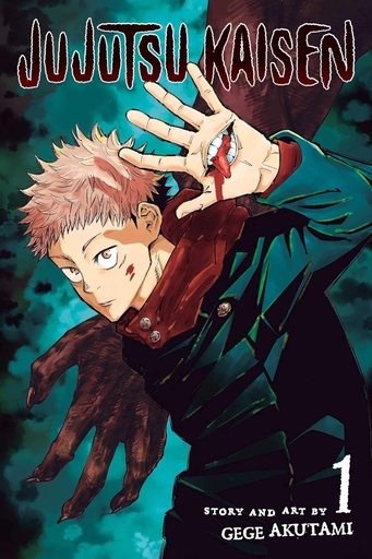 [9781974710027] Jujutsu Kaisen, Vol. 01     
